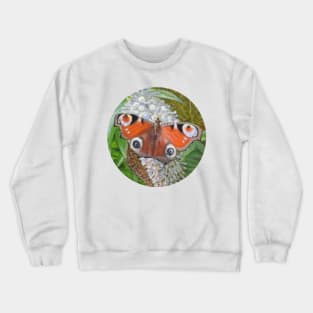 Peacock Butterfly Painting Crewneck Sweatshirt